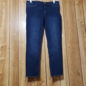 Jordache denim blue jeans Mid Rise Skinny Ankle  stretch  -size 10